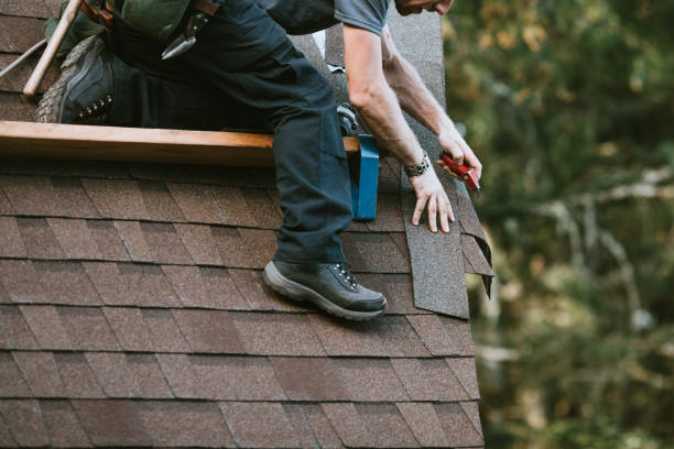 Best Roof Gutter Cleaning  in Centralia, IL